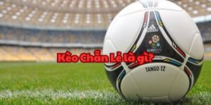 Kèo chẵn lẻ là gì? Tỷ lệ kèo nhà cái u888